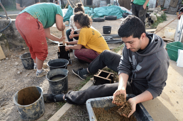 workshop terre ferme